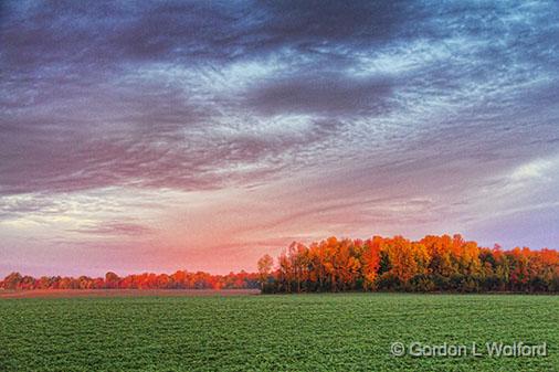 Autumn Landscape At Sunrise_28790.jpg - Photographed near Kilmarnock, Ontario, Canada.